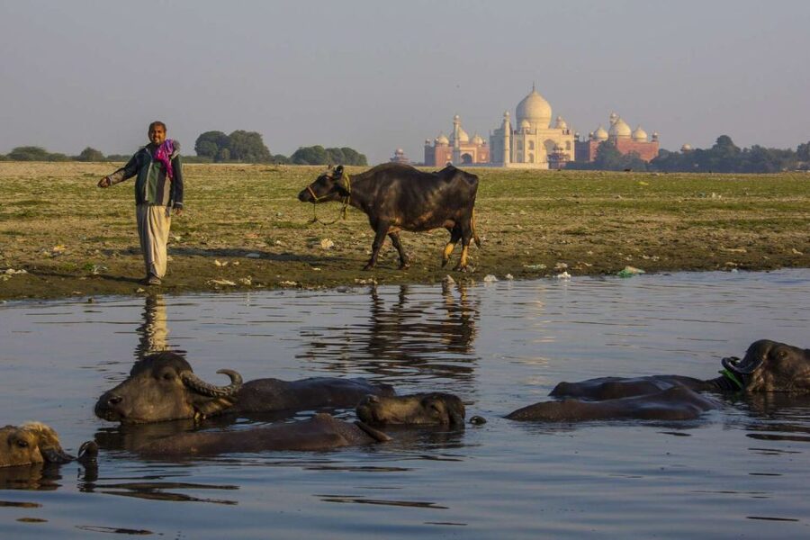 Taj Mahal, Agra Fort Day Tour with Transfers - Agra Fort after lunch: where you learn the Mughal power math