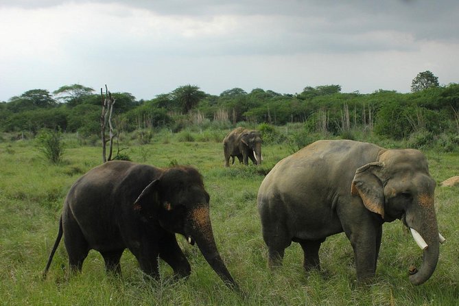 Taj Mahal, Agra Fort & Elephant Rescue Sanctuary Private Day Trip - Taj Mahal visit with a private guide: how to see more than the postcard
