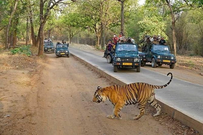 Taj Mahal & Agra Private Day Tour from New Delhi by Car with Meal - Price and Upgrade Choices: What $10 Covers, and What to Check