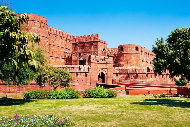 Taj Mahal Private Tour from Delhi by Car - Picking Your Start Time: 2 AM to 8 AM (Why It Matters)