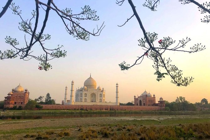 Taj Mahal Sharing Same Day Trip From Delhi Including all - My Booking Recommendation: Should You Book Ajay Day Tours?
