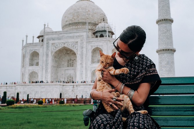Taj Mahal Tour by Car From Delhi - Should you book Taj Mahal Tour by Car From Delhi?