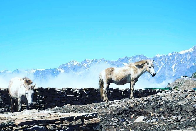 Unique Shimla and Manali tour - Price and logistics: where the money goes (and what to budget)