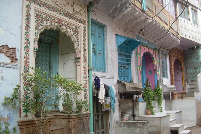 Vegan Food and walking tour in Delhi - Who This Vegan Delhi Walk Is Best For (and Who Should Pass)