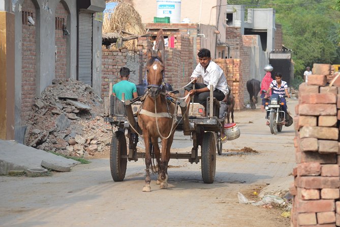 Village Snapshot - Pure and simple - The village walk, the river swim, and lunch with a local family