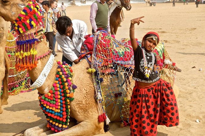 Visit Rajasthan Popular Places With Taj Mahal - What’s included beyond sights (and why you should care)